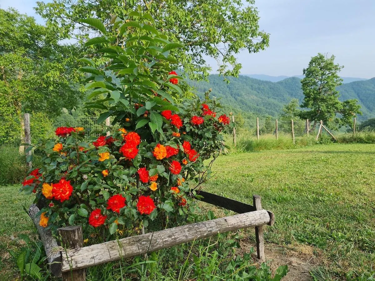 Agriturismo Il Noce d'Oro Villa Borgo Val di Taro 0*,