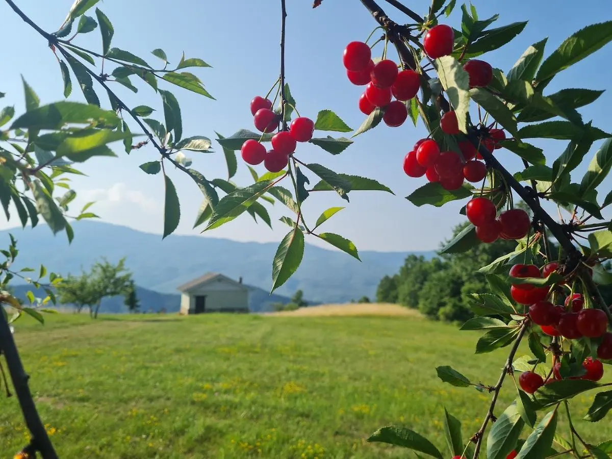 הוילה בורגו ואל די טארו Agriturismo Il Noce D'Oro