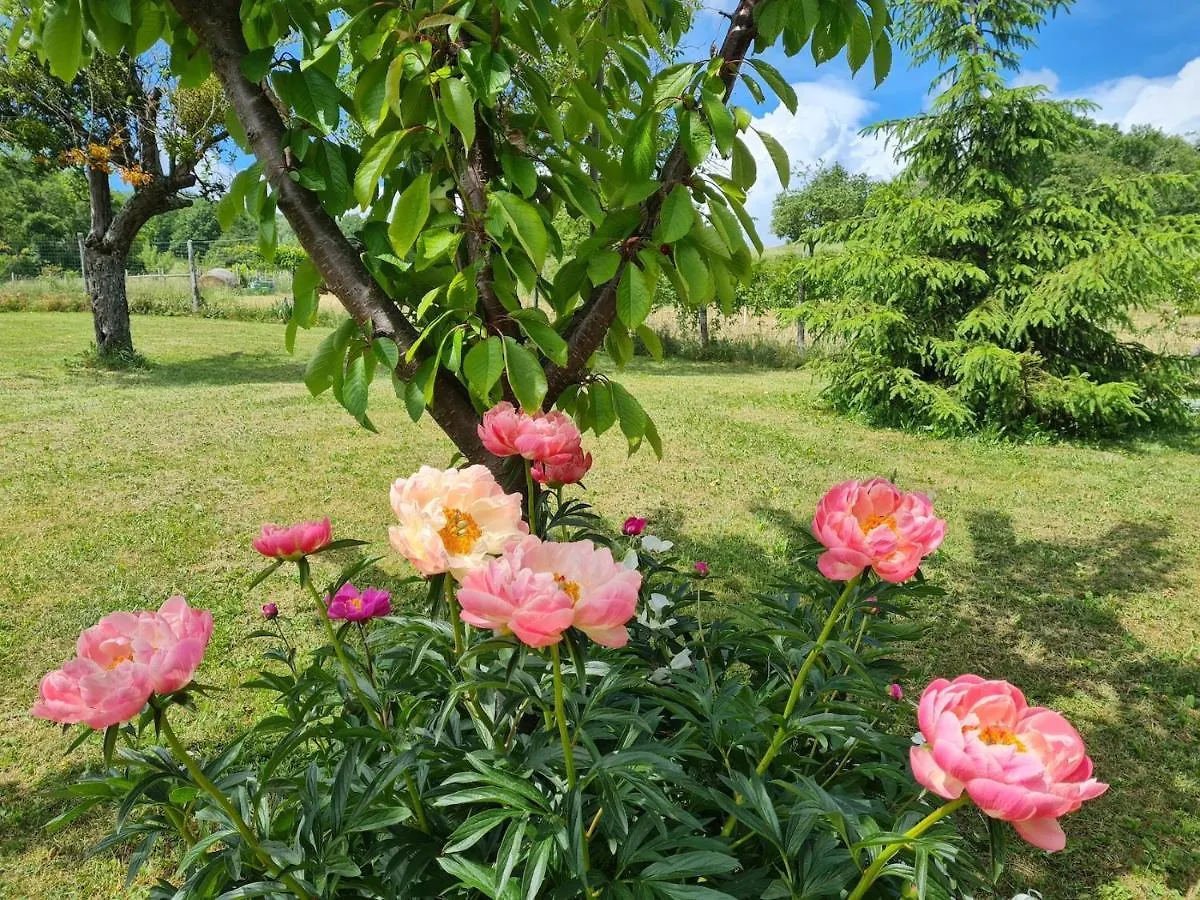 בית חווה הוילה בורגו ואל די טארו Agriturismo Il Noce D'Oro